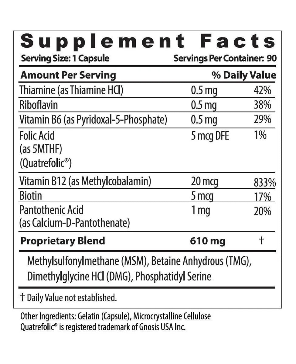 neuro insight supplement facts